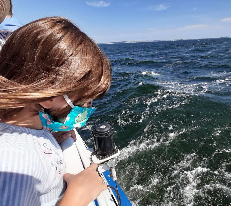 Robbenfahrt auf der Ostsee, Foto: Gudrun Stark